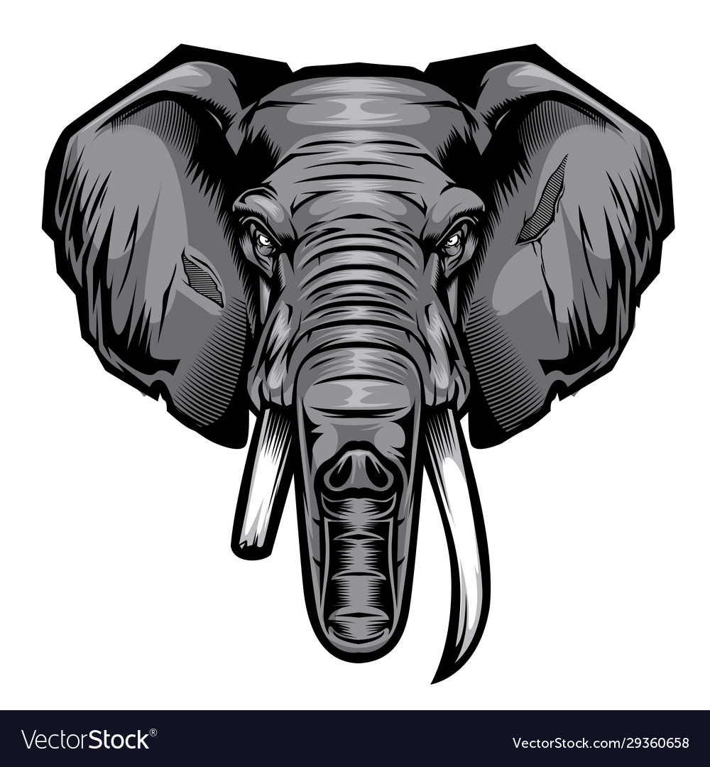 elephant profile drawing