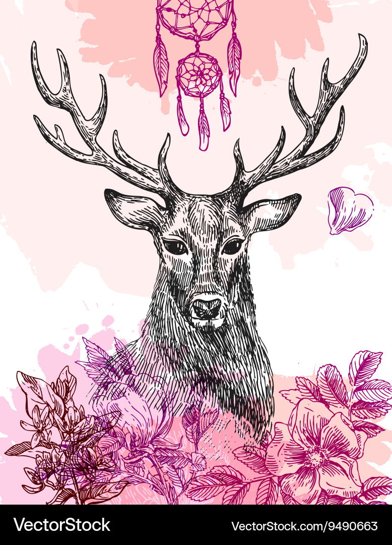 Hand drawn deer Royalty Free Vector Image - VectorStock