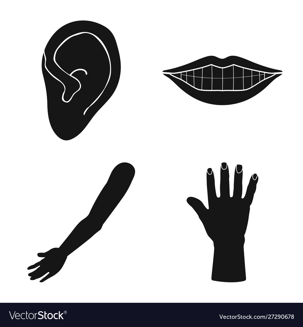 Body and part sign set Royalty Free Vector Image