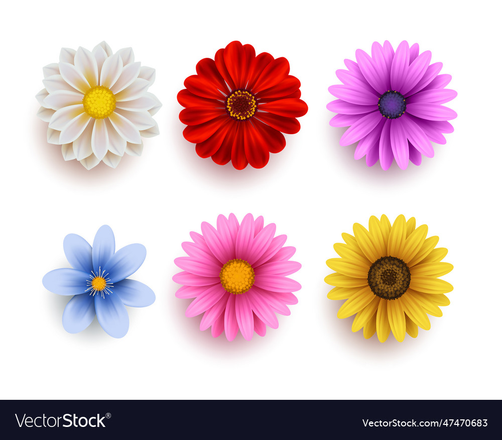 A set of bouquets of flowers Royalty Free Vector Image