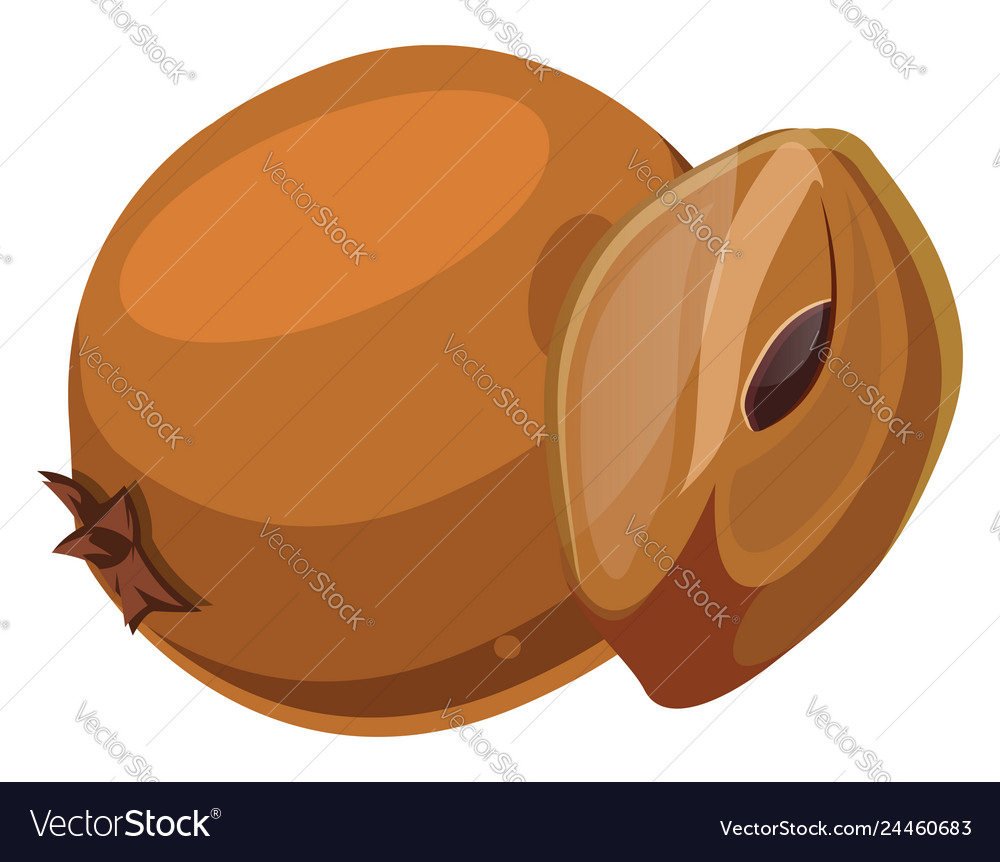 Orange chico cut in half cartoon fruit on white Vector Image