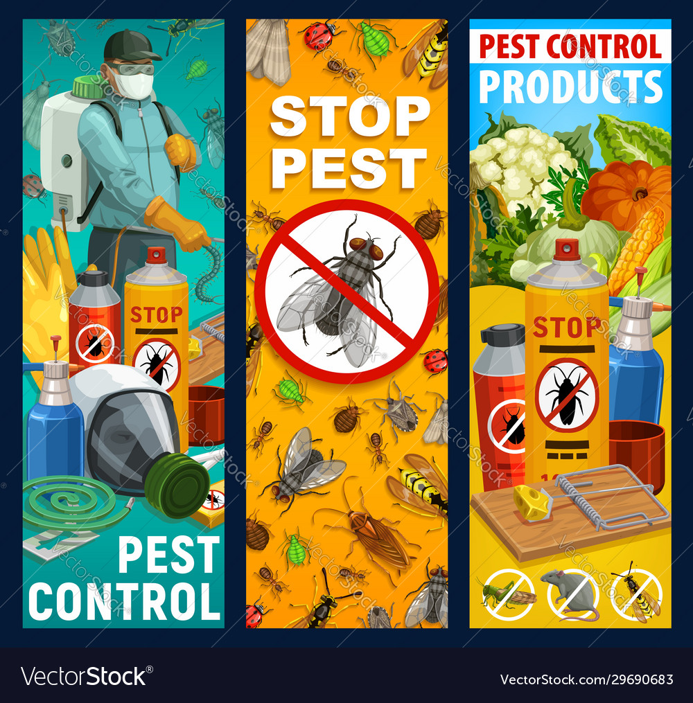 Pest control insects and exterminator banners Vector Image