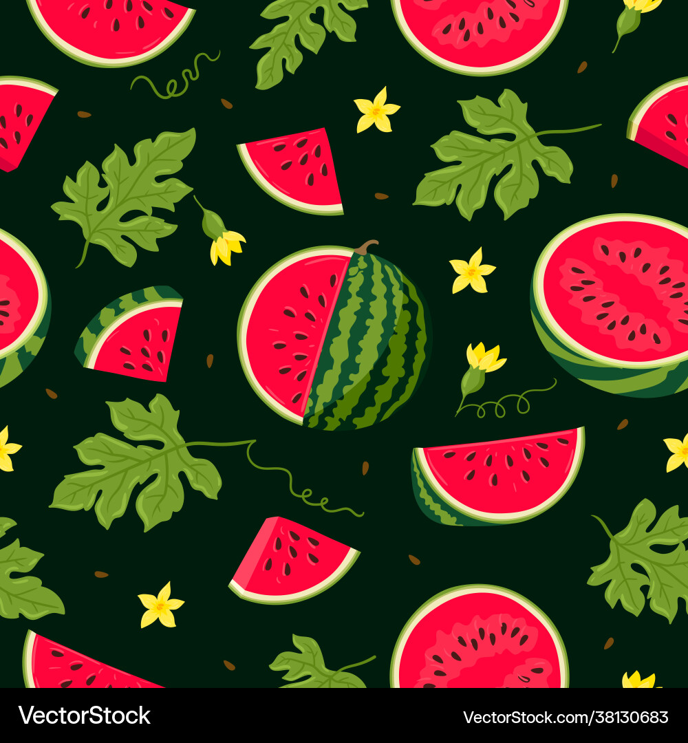 Watermelon seamless pattern Royalty Free Vector Image