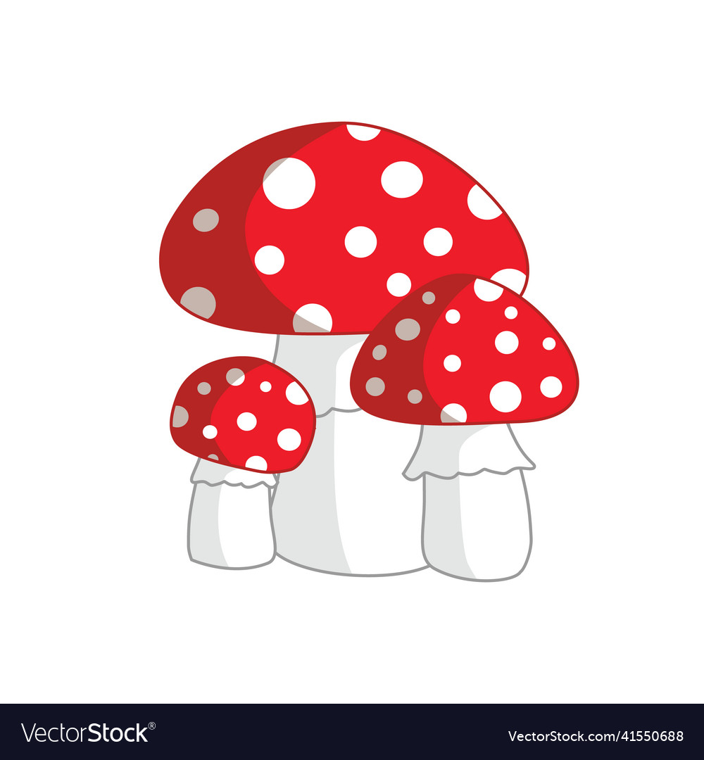 Mushroom family inedible mushrooms fly agaric Vector Image