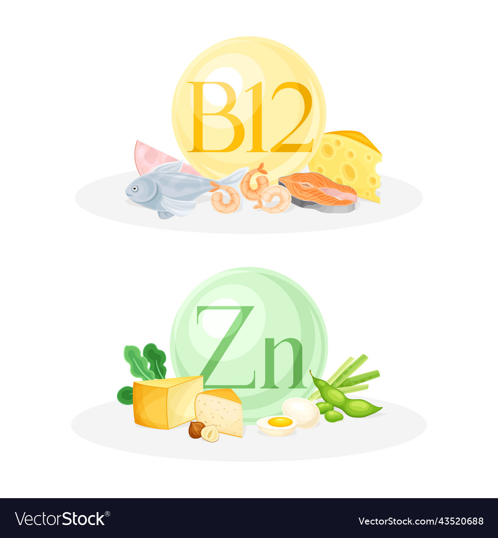 Products ontaining vitamin b12 and zinc Royalty Free Vector