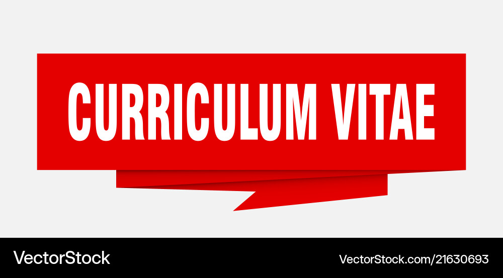 Curriculum vitae Royalty Free Vector Image - VectorStock