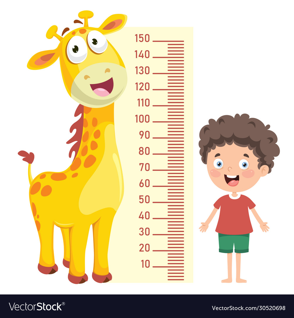 Height Measurement Clipart Free