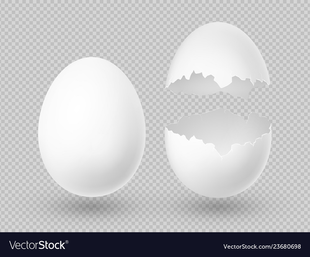 Realistic white eggs with whole and broken vector image Realistic white eggs with whole and broken