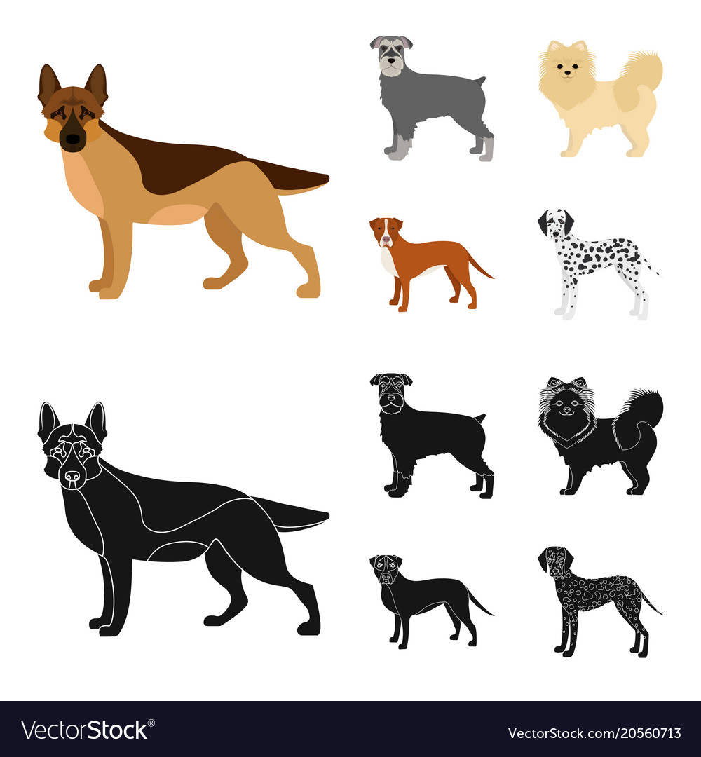 Dog Breeds Cartoonblack Icons In Set Collection Vector Image