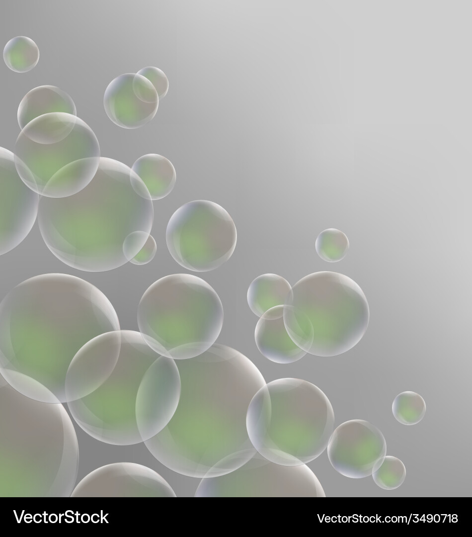 Soap bubbles on grayscale Royalty Free Vector Image