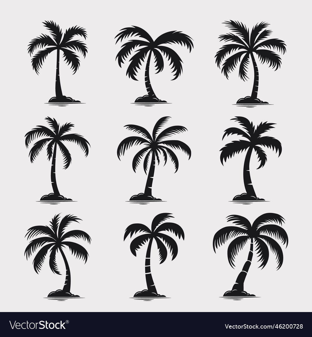 Palm trees tree icon set isolated royalty free vector image