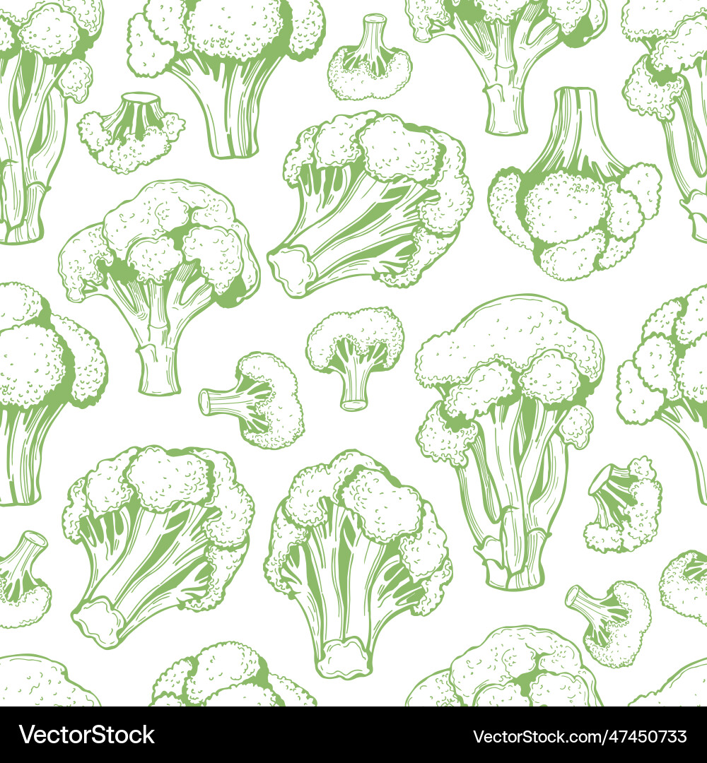 Pattern with sketch broccoli Royalty Free Vector Image