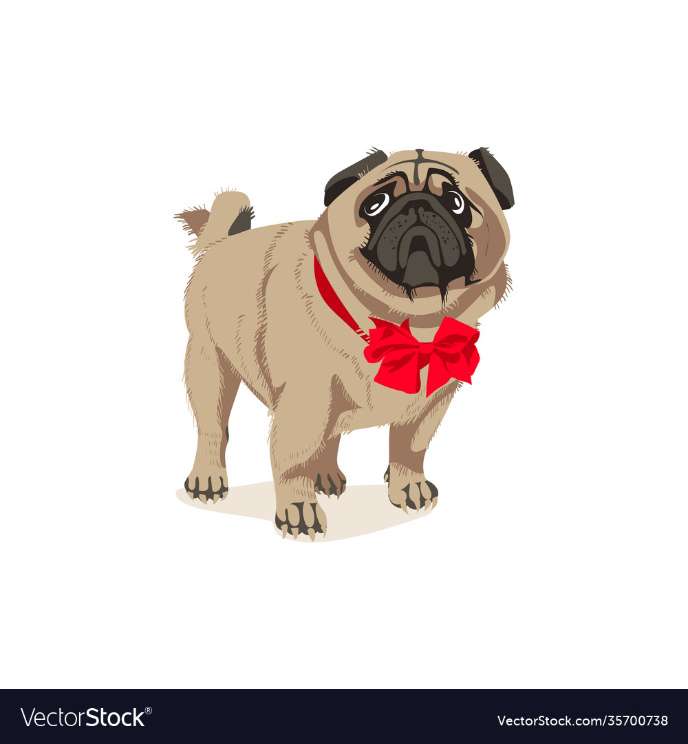 Pug with clearance bow