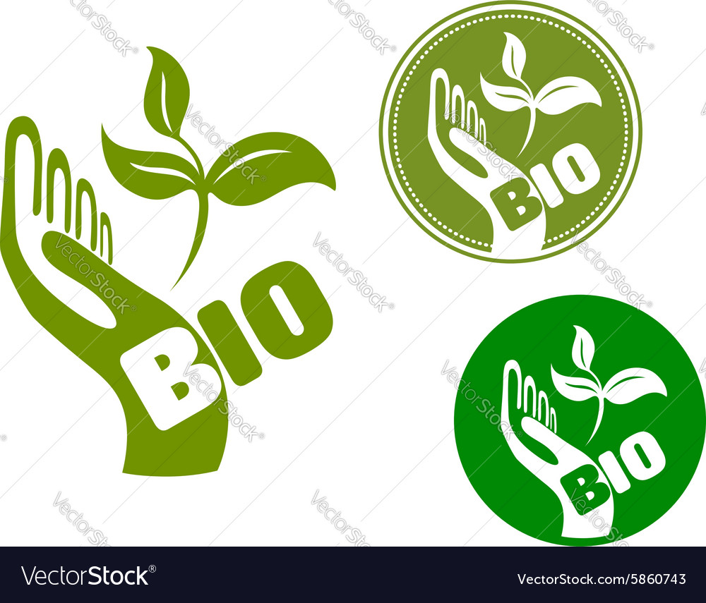 Bio Concept With A Hand Holding Leaves Royalty Free Vector