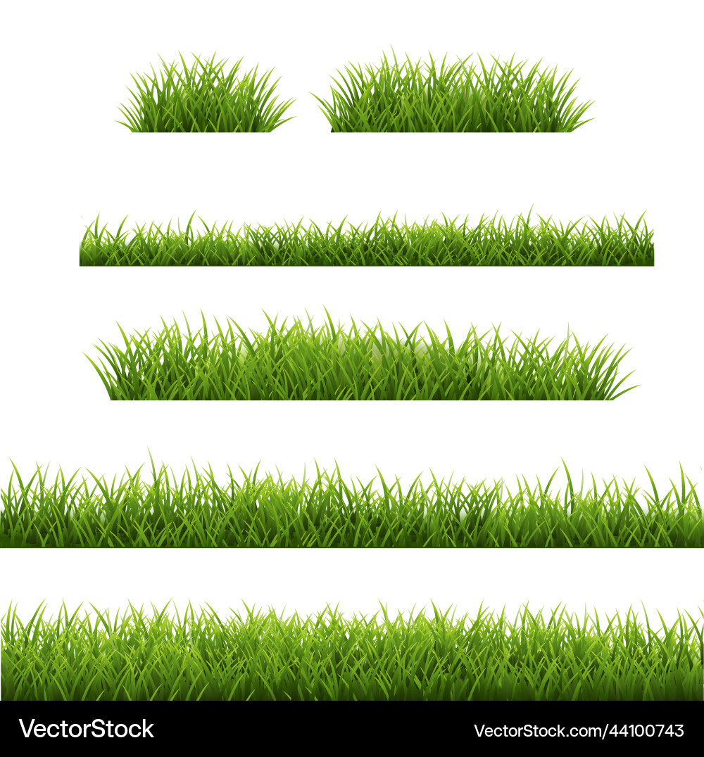 Grass border set isolated white background Vector Image