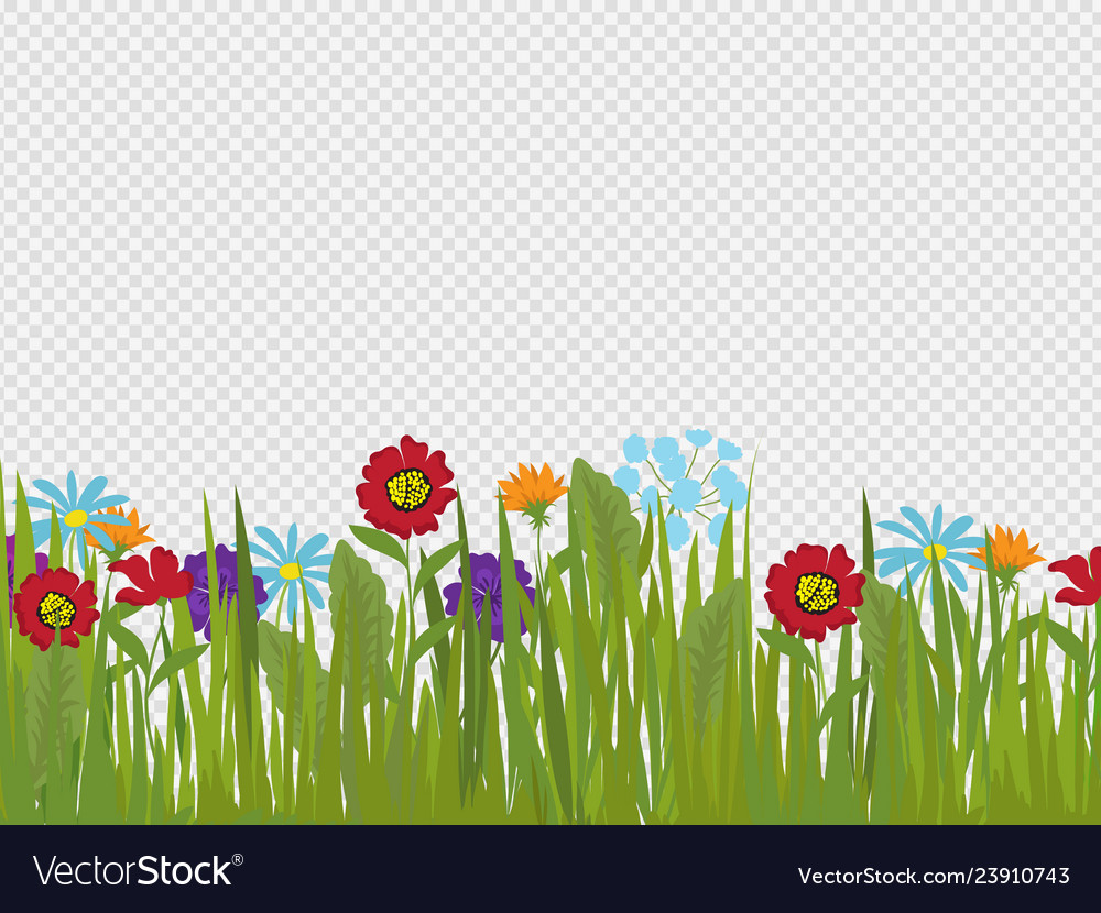 Spring flowers and grass border isolated Vector Image