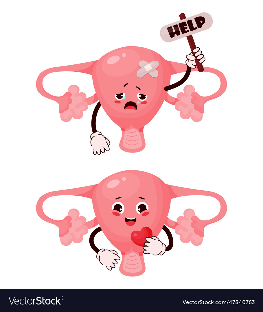 Cute female cartoon uterus human reproductive Vector Image