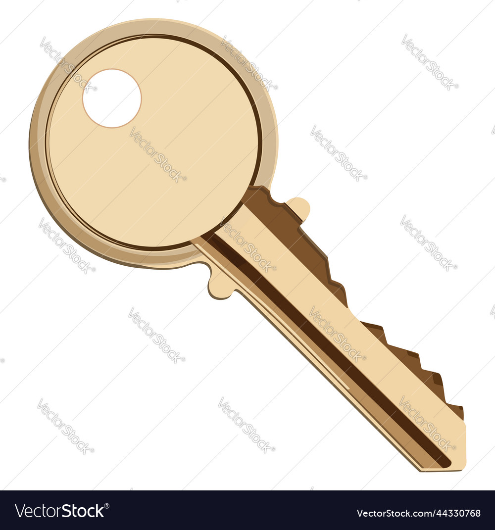 Lock key on a white background Royalty Free Vector Image