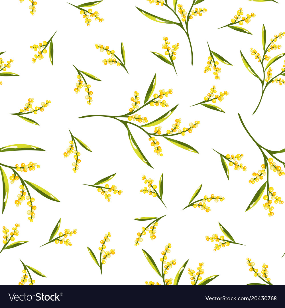 seamless pattern with mimosa flower mimosa design