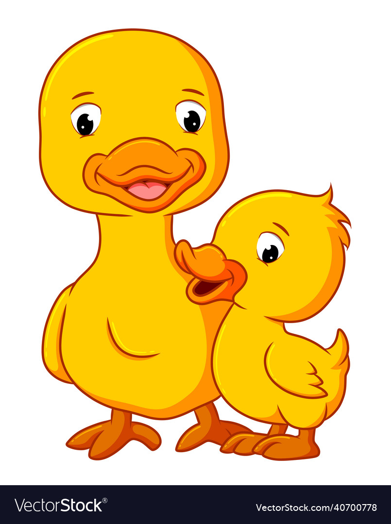 Duck is talking and playing with the mother Vector Image