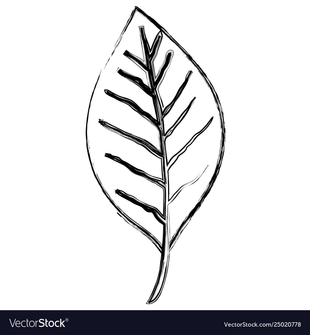 Leaf single decorative icon Royalty Free Vector Image