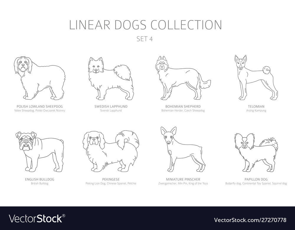 Pekingese Dog Toy Vector Images 41