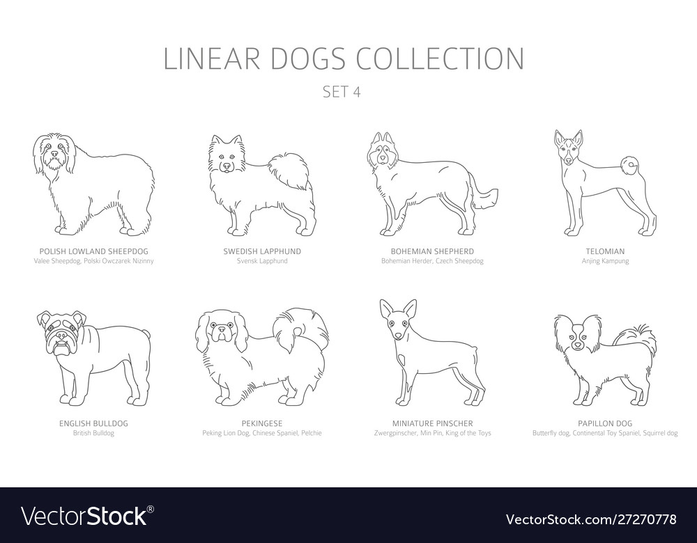 Simple line dogs collection isolated on white dog