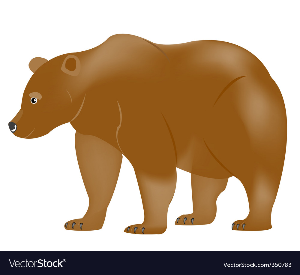 Brown bear