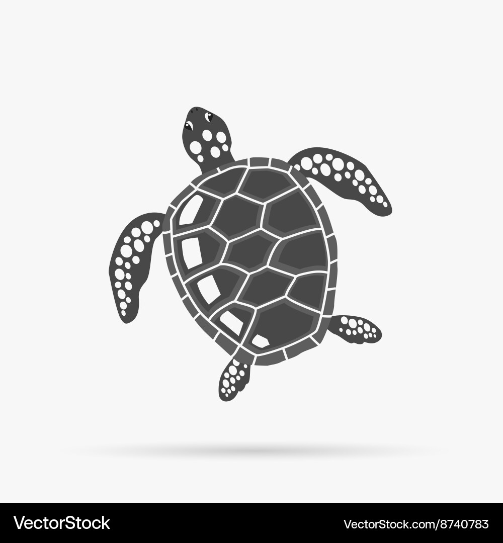 Turtle isolated on white background Royalty Free Vector