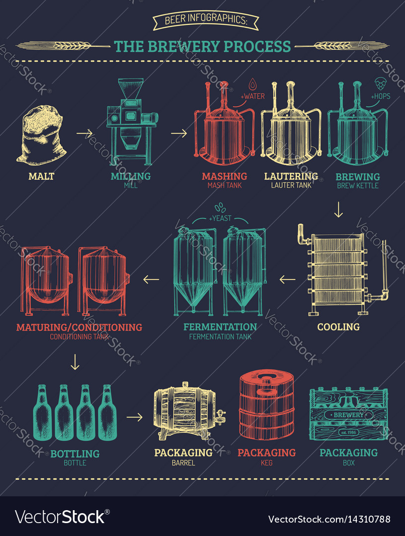 Beer infographics Royalty Free Vector Image - VectorStock