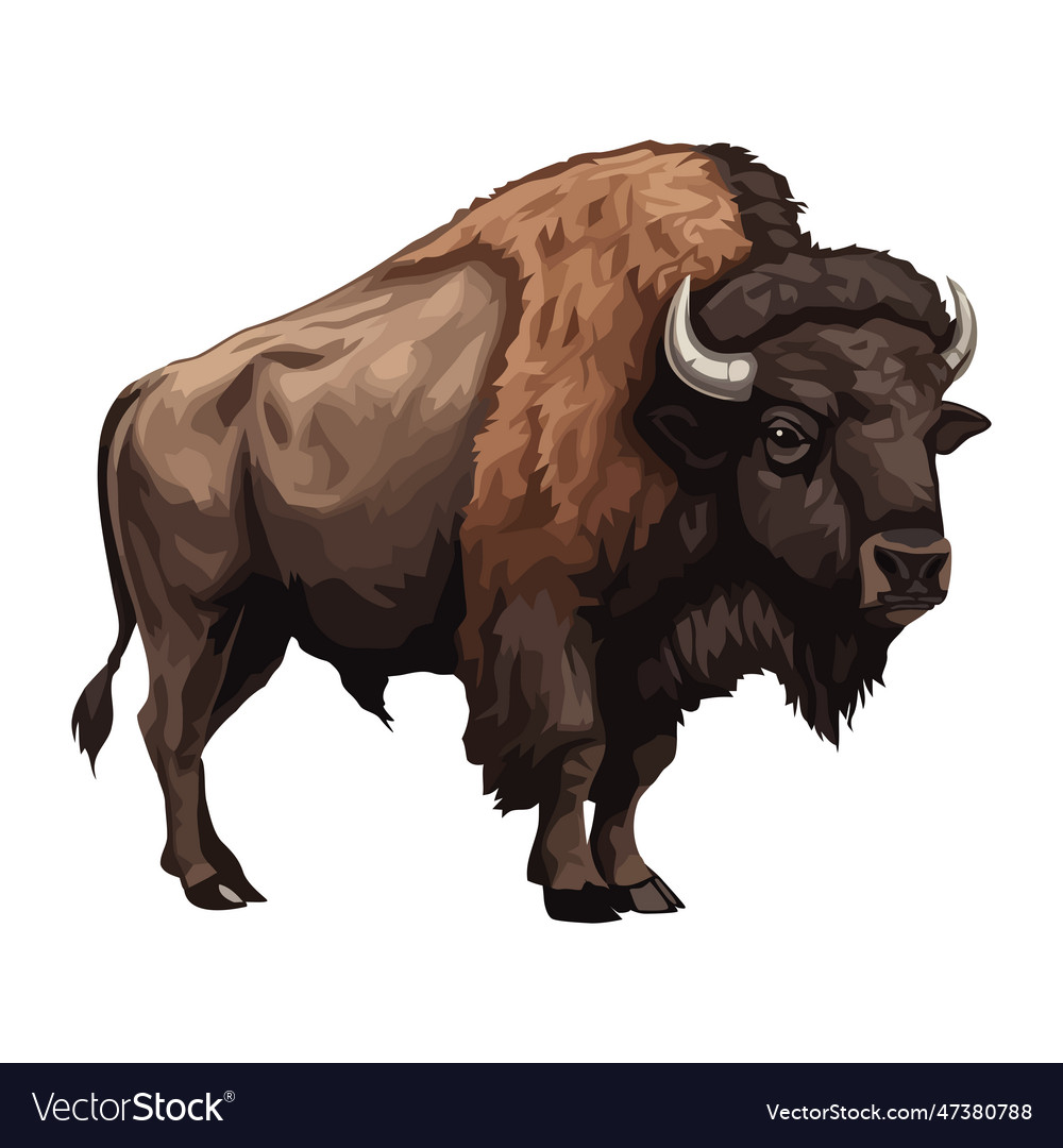 Large Horned Bison Mammal Royalty Free Vector Image