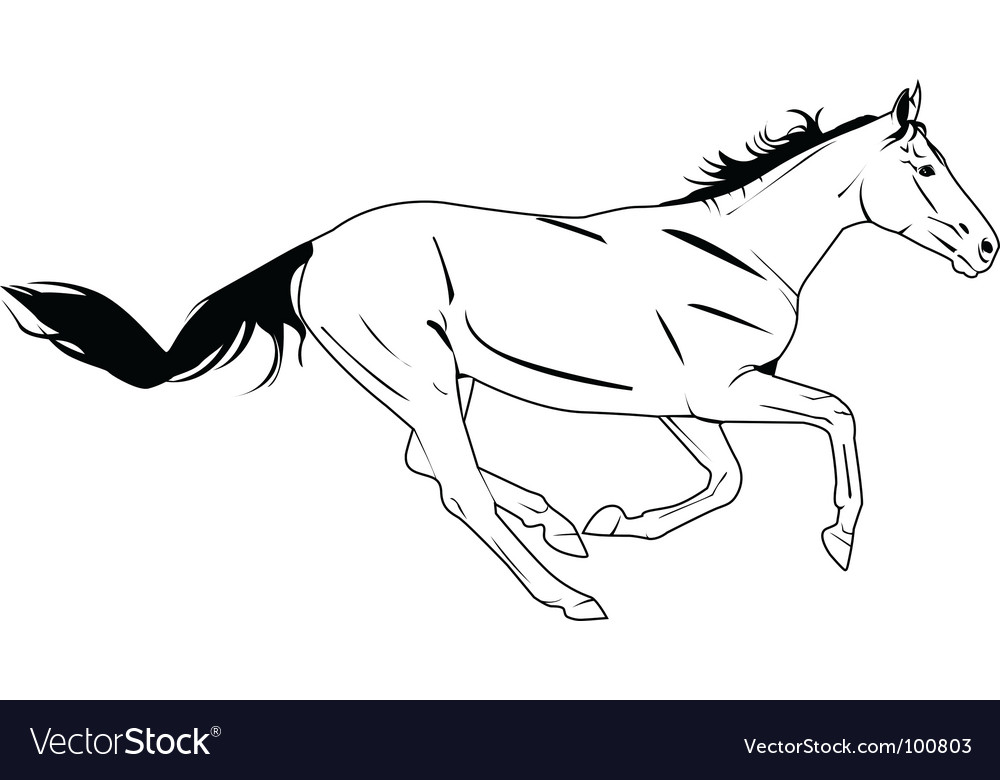 Horse galloping Royalty Free Vector Image VectorStock