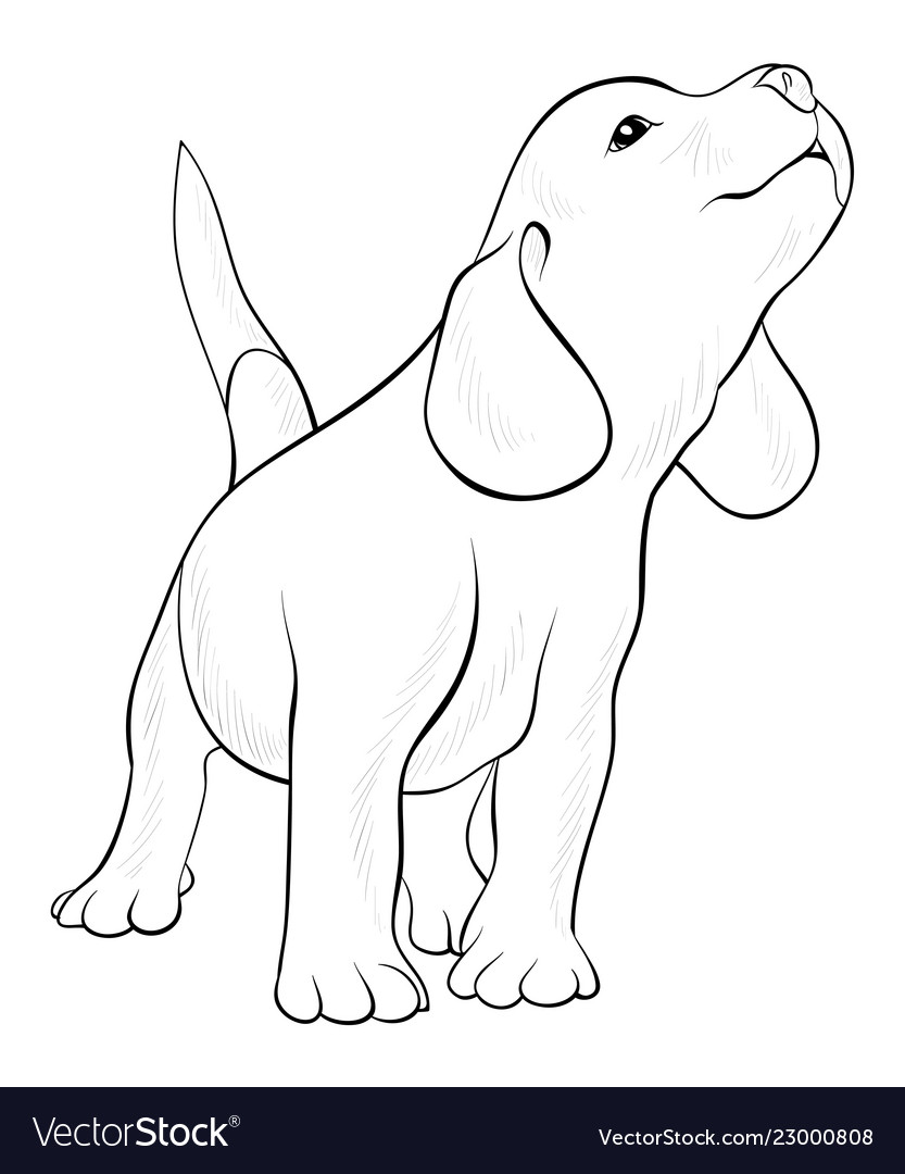 Adult Coloring Bookpage A Cute Dog Image For Vector Image