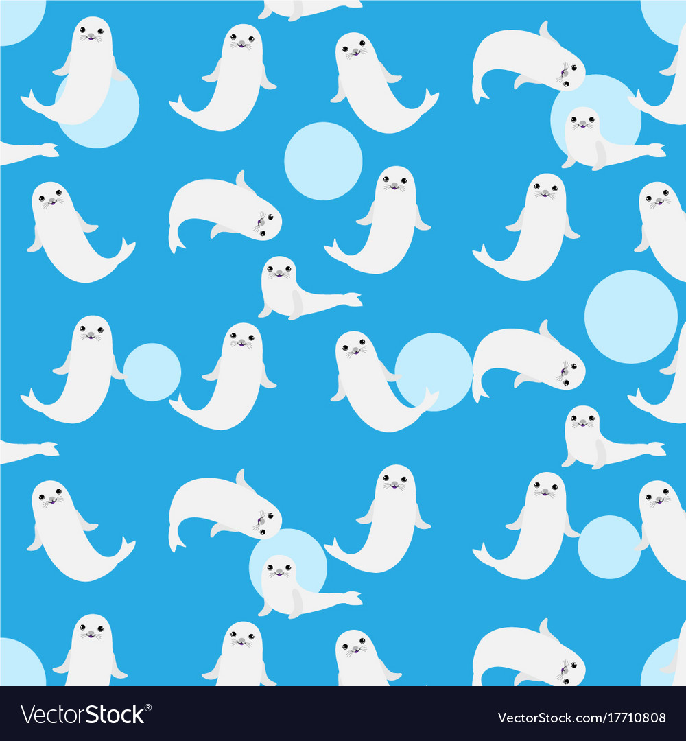 Cute Baby Sea Lion On Blue Background Royalty Free Vector