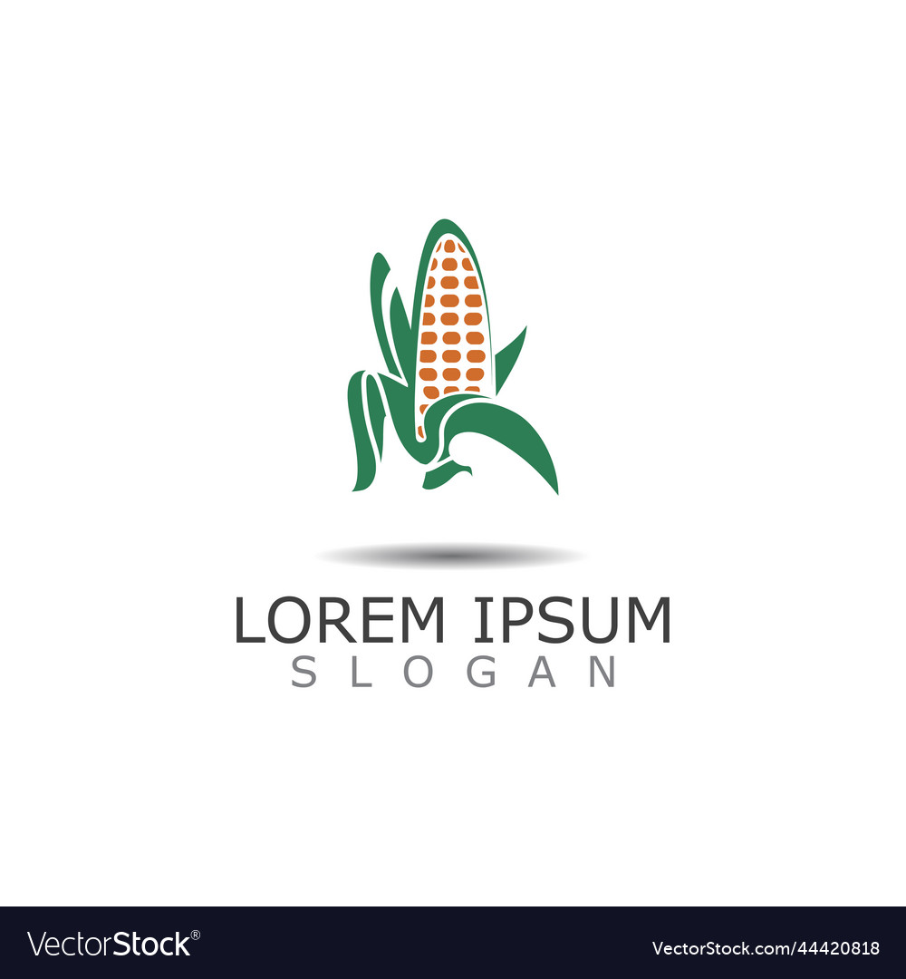 Corn logo design themefarming template nature Vector Image