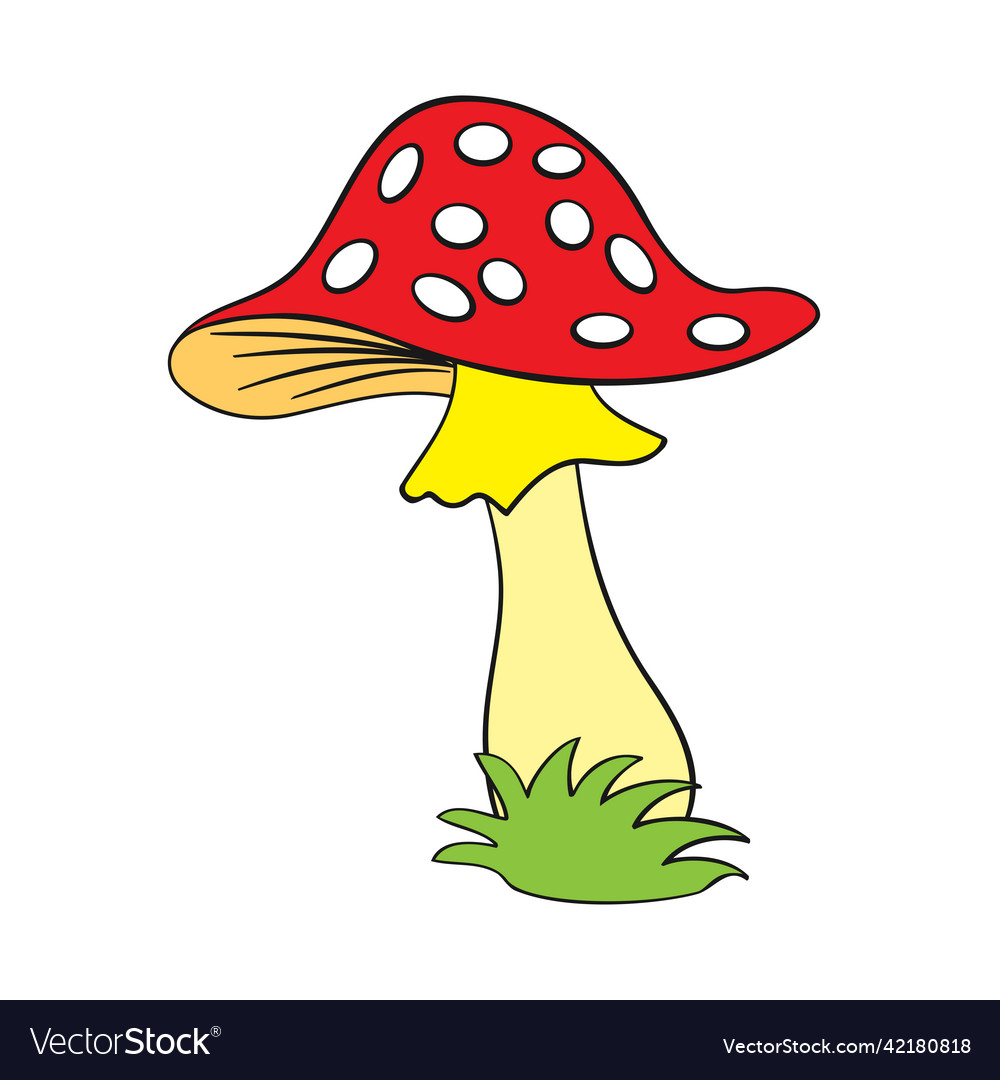 Inedible fly agaric mushroom drawing cartoon Vector Image