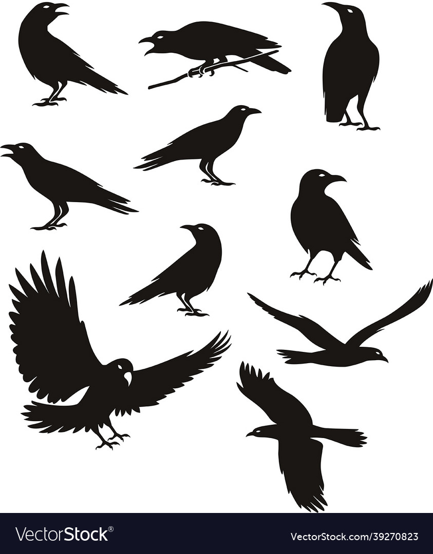 Crow silhouette black color Royalty Free Vector Image