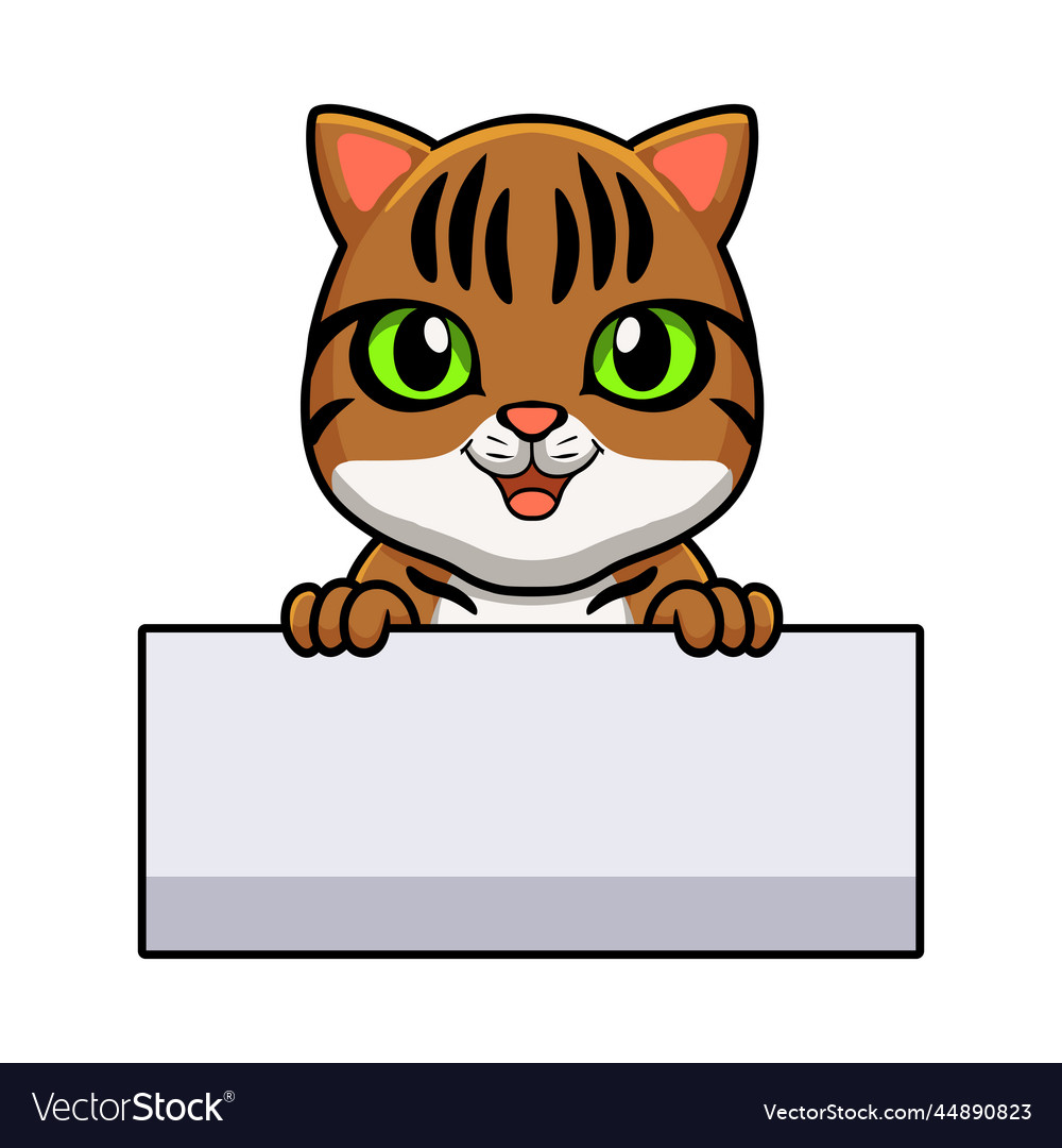 Cute Bengal Cat Cartoon Holding Blank Sign Vector Image