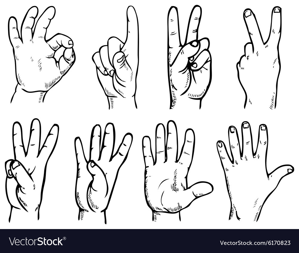 Hand account Royalty Free Vector Image - VectorStock