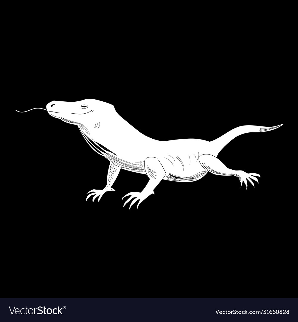 Graphics funny lizard Royalty Free Vector Image Graphics funny lizard Royalty Free Vector Image