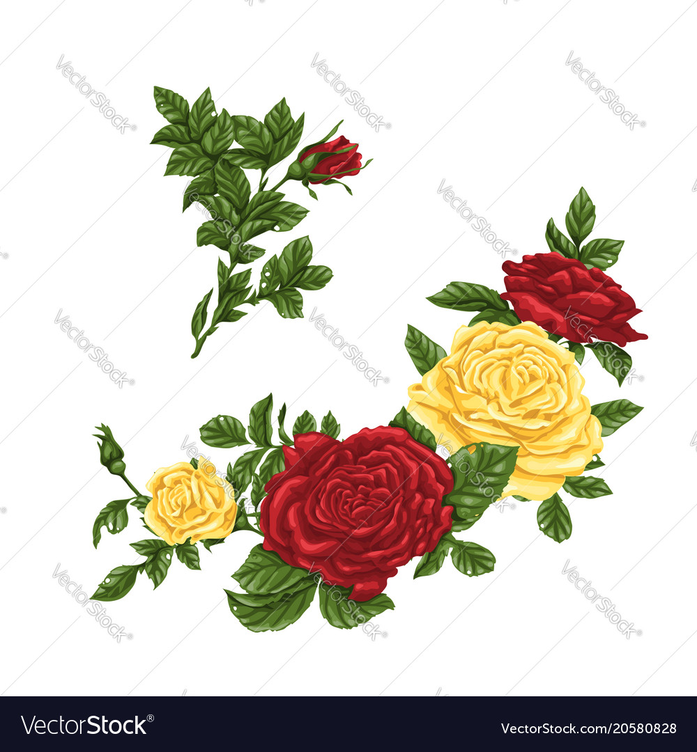 Set Of Yellow And Red Roses Bouquets Flowers And Vector Image