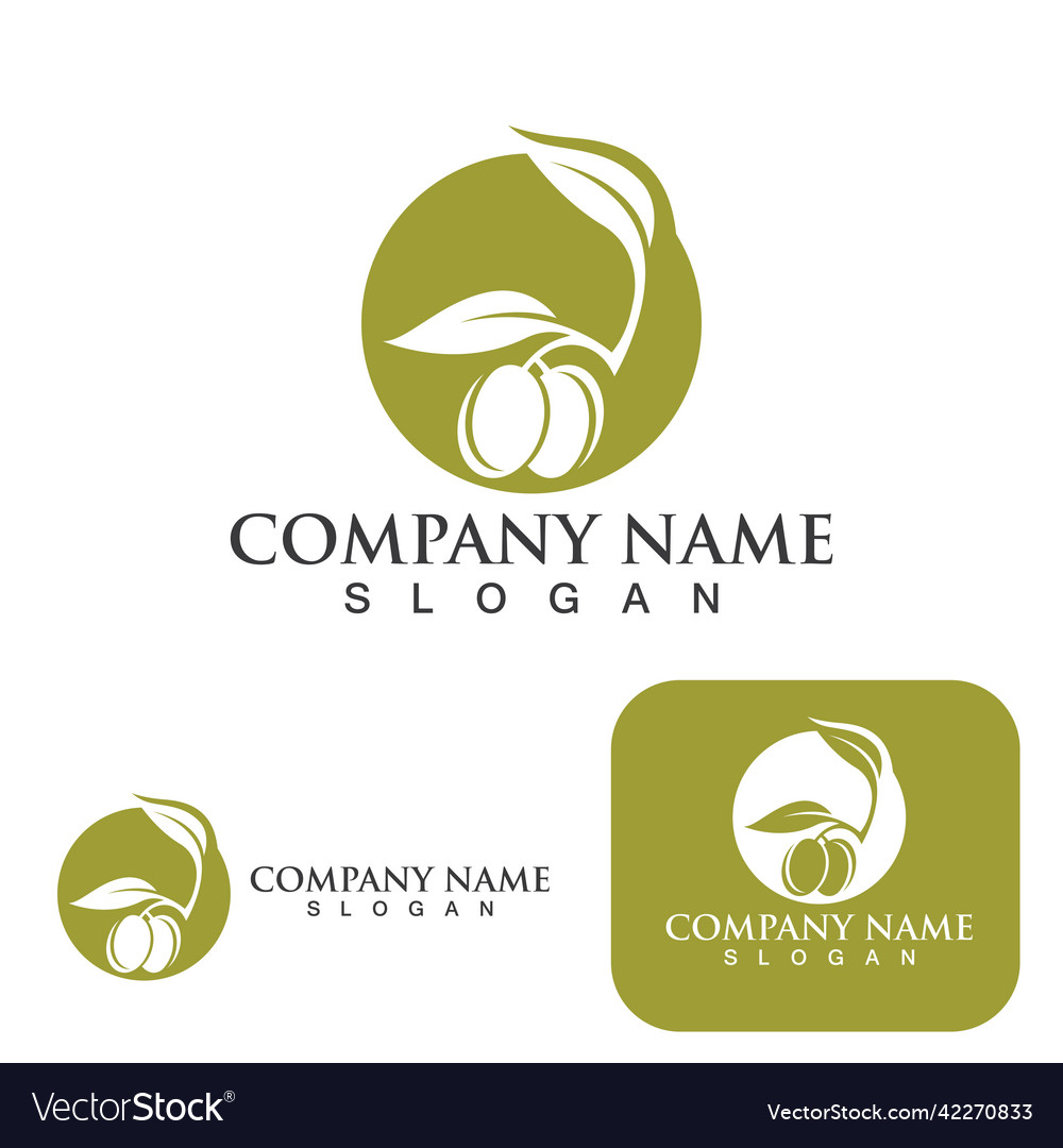 Olive tree Royalty Free Vector Image - VectorStock