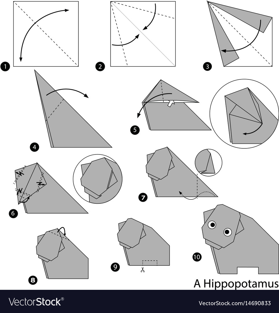 Step by instructions how to make origami Vector Image