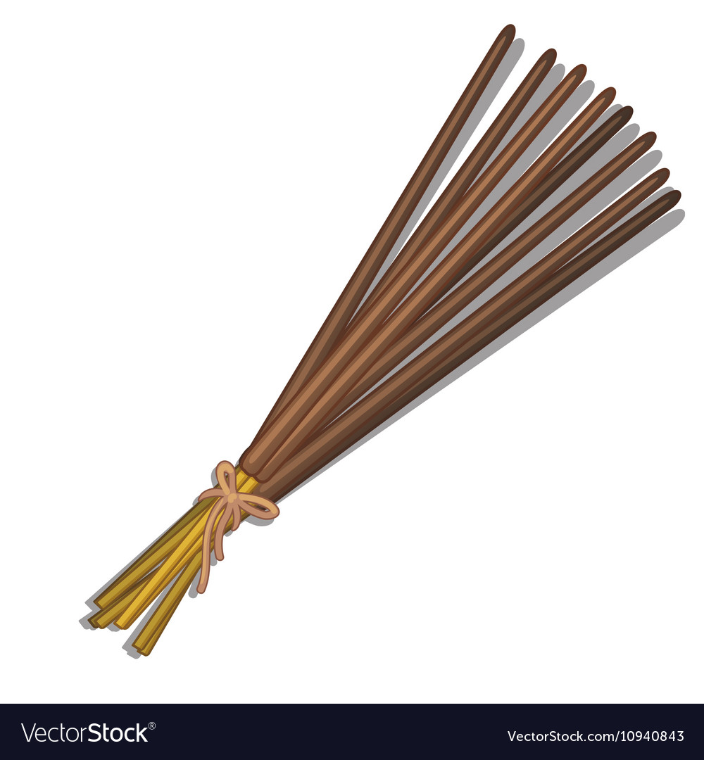 Bunch incense sticks on white background Vector Image