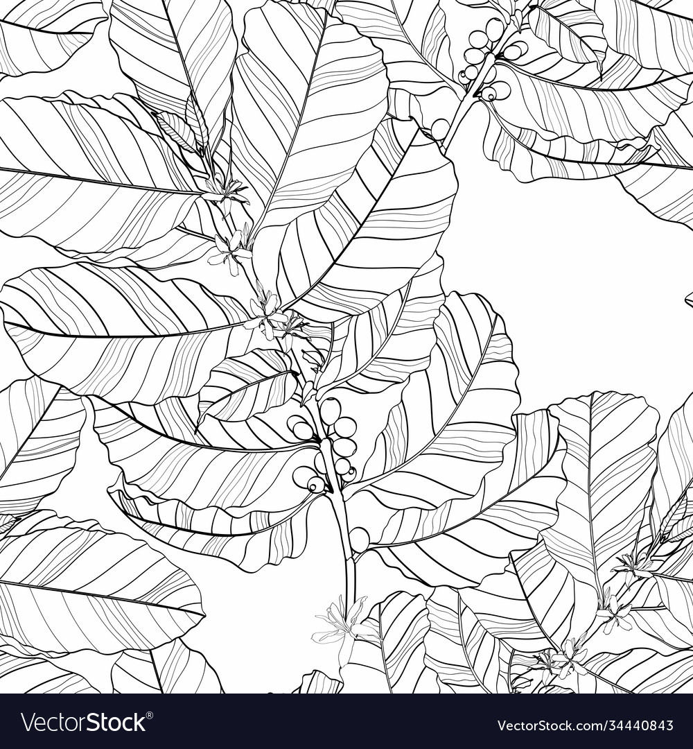 Coffee plant digital paper Greenery seamless pattern Coffee lover