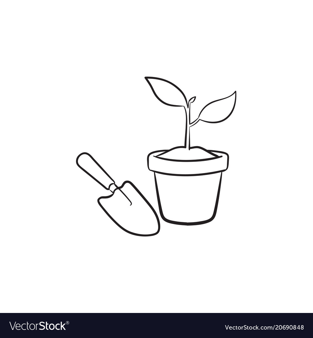 Garden trowel and pot hand drawn sketch icon Vector Image