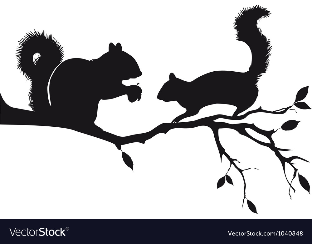 Squirrels On Tree Branch Royalty Free Vector Image