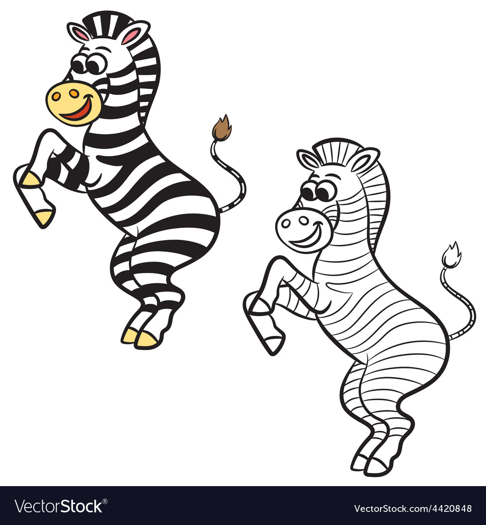 Download Zebra Coloring Book Royalty Free Vector Image Vectorstock