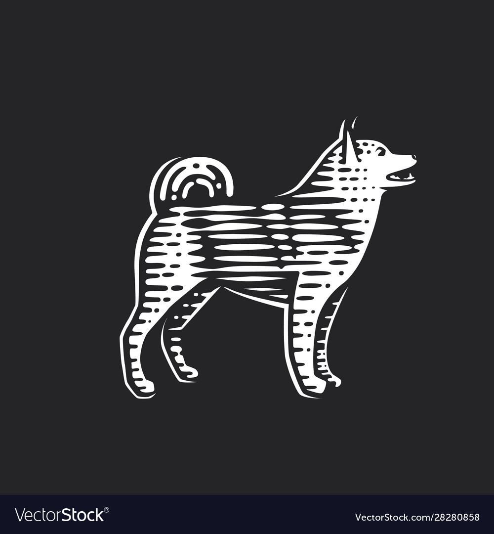 Dog vector image Dog
