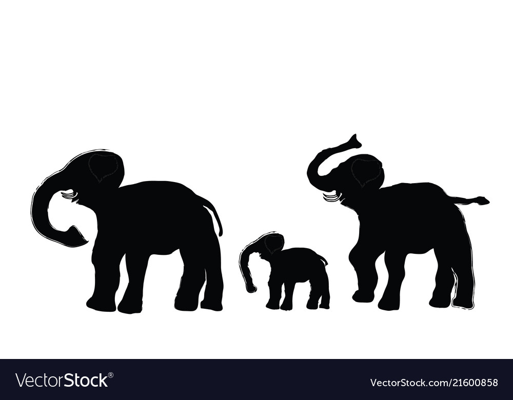 Elephant family Royalty Free Vector Image - VectorStock